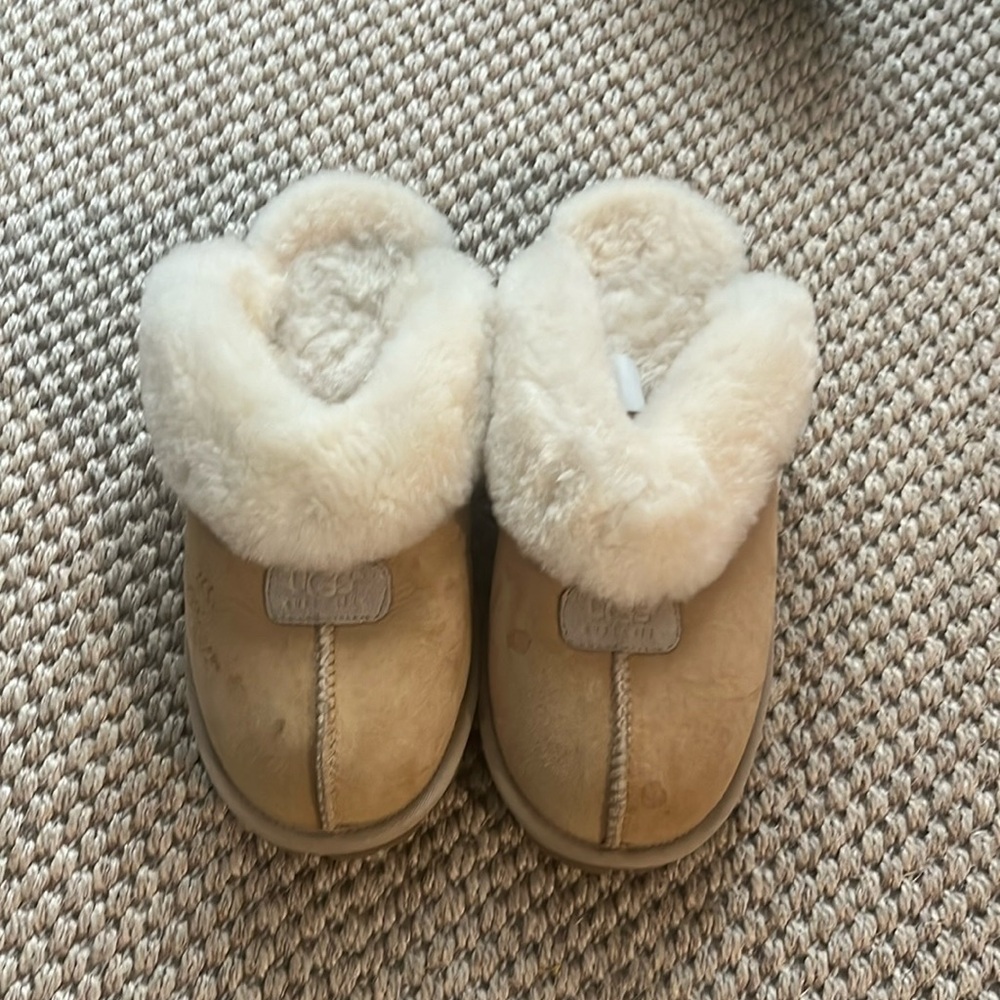 Ugg slippers in tan. Never worn!